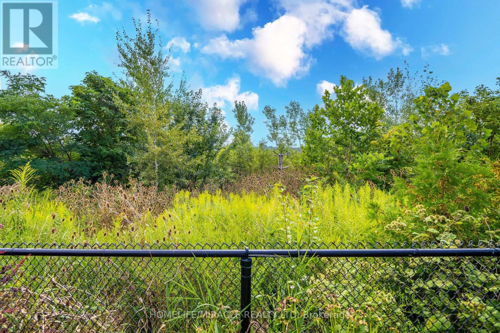 1228 Raspberry Terrace, Milton, Ontario  L9E 1N1 - Photo 48 - W13690128
