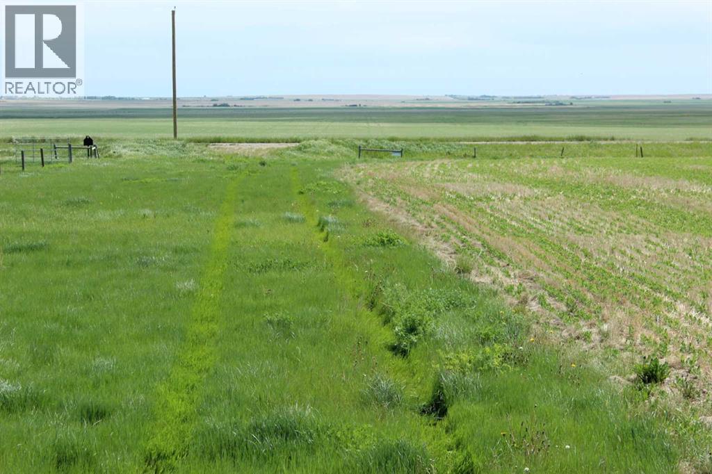 Rr 262, Rural Vulcan County, Alberta  T0L 0L0 - Photo 5 - A2318629