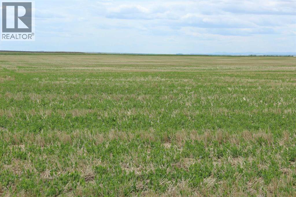Rr 262, Rural Vulcan County, Alberta  T0L 0L0 - Photo 8 - A2318629