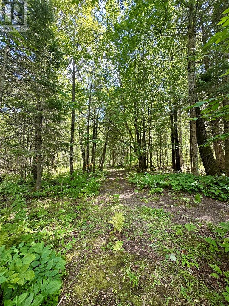 1398 Range A Sideroad, Manitoulin Island, Ontario  P0P 1J0 - Photo 25 - 2129847