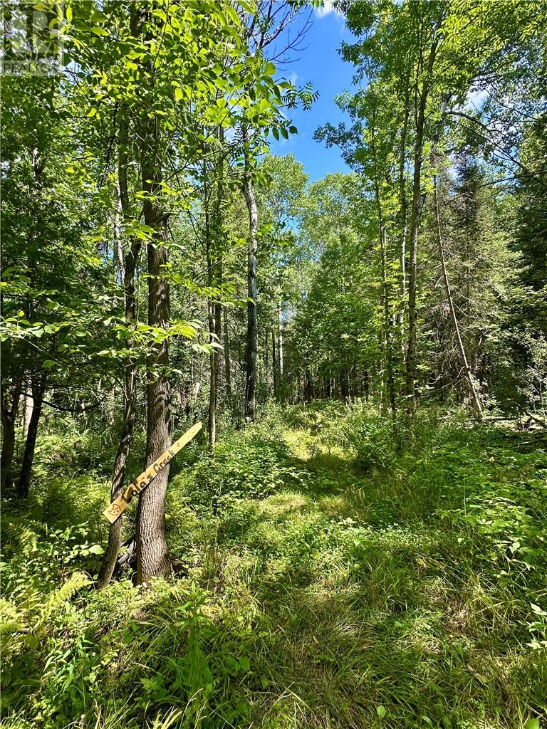 1398 Range A Sideroad, Manitoulin Island, Ontario  P0P 1J0 - Photo 26 - 2129847
