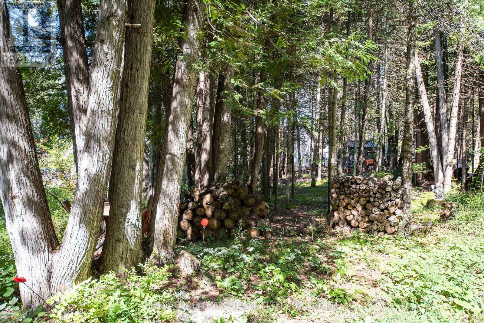 799 Rapid Road, Whitewater Region, Ontario  K0J 2L0 - Photo 22 - X13690306