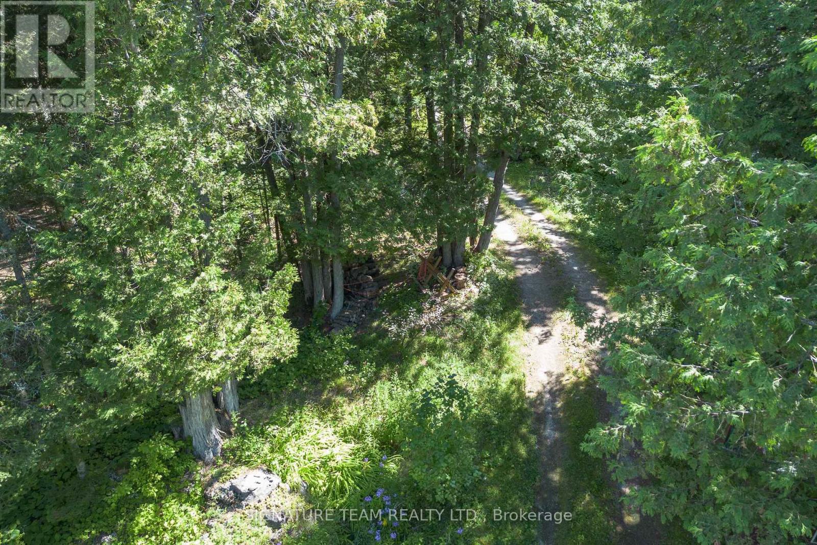 799 Rapid Road, Whitewater Region, Ontario K0J 2L0 - Photo 6 - X13690306