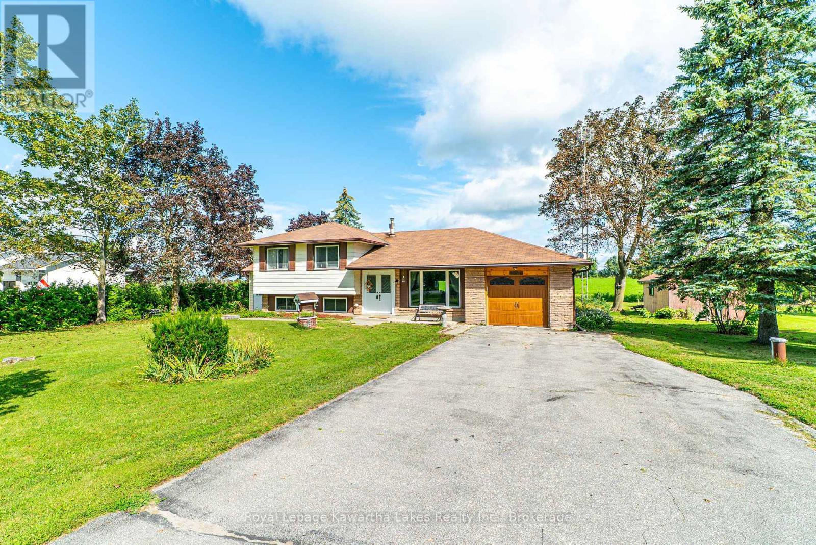 49 Cresswell Road, Kawartha Lakes, Ontario  K0M 1J0 - Photo 11 - X12984000