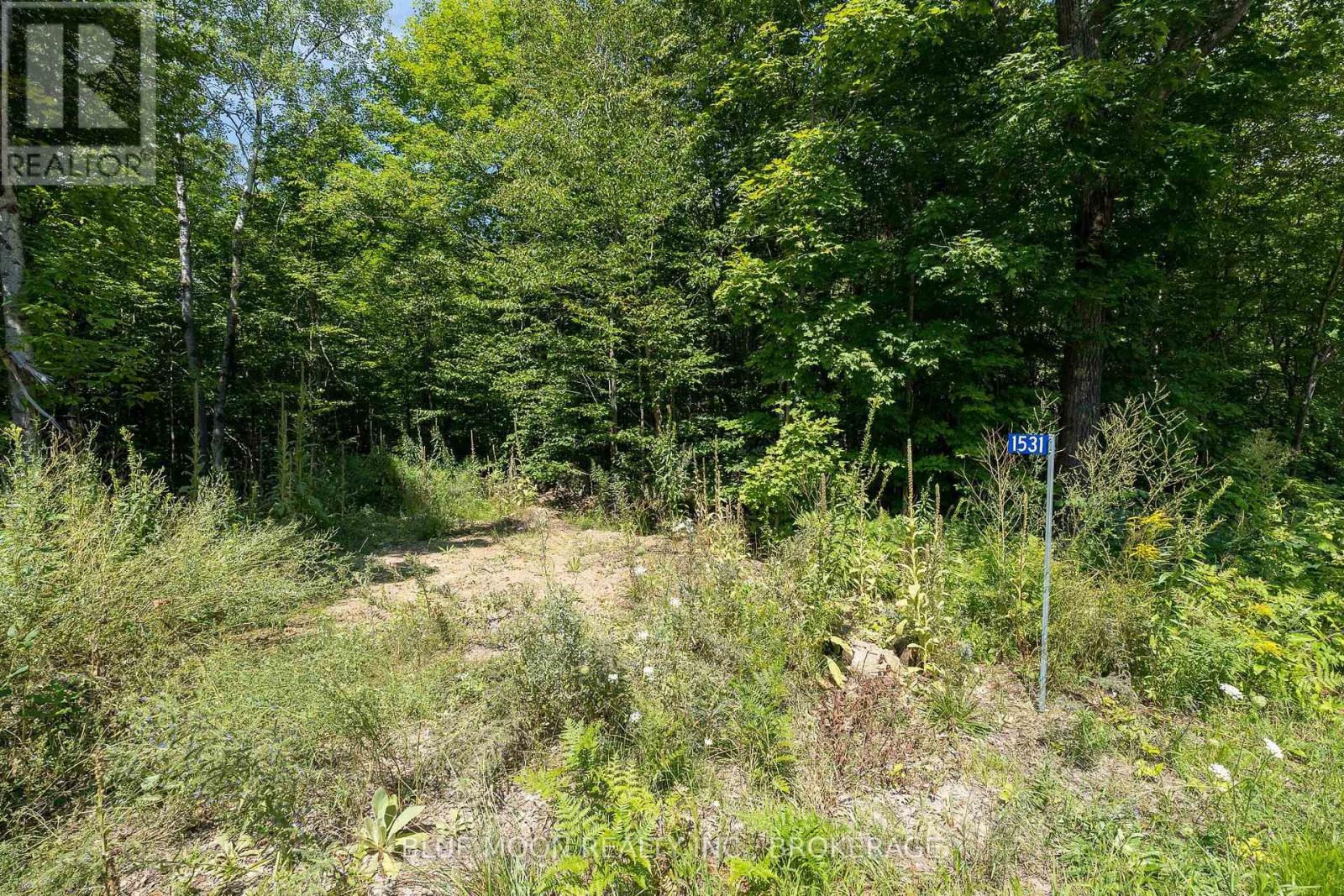 1531 Myers Cave Road, Frontenac (Frontenac North), Ontario  K0H 1B0 - Photo 2 - X13690346