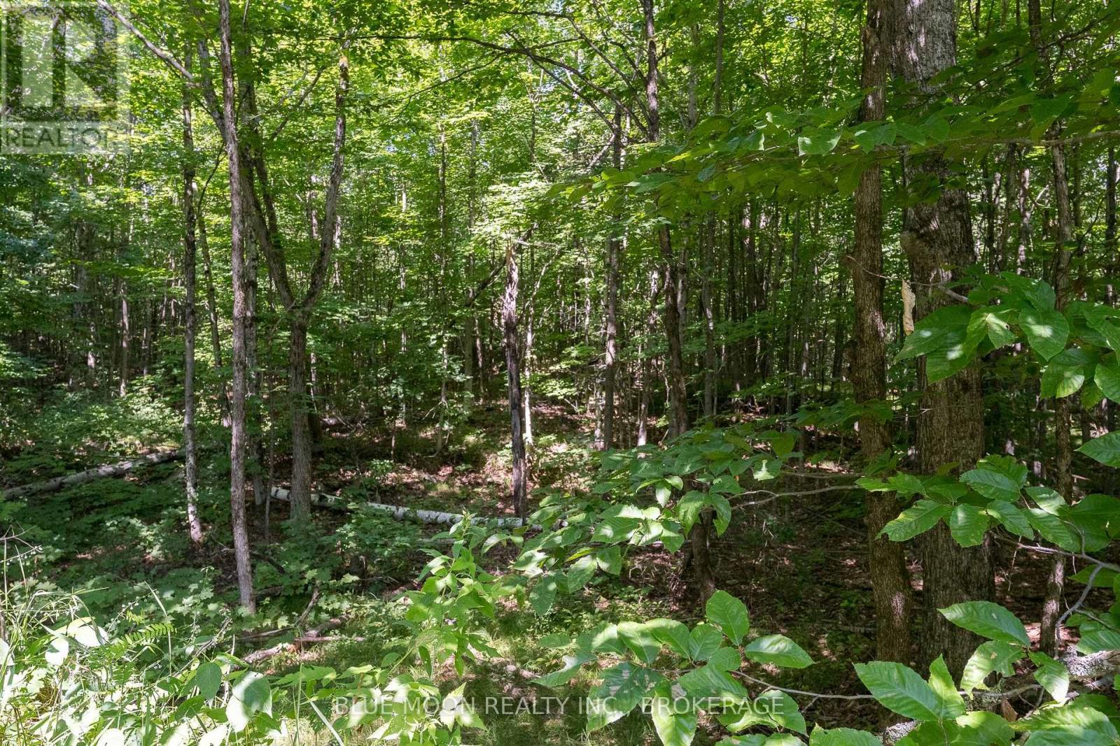 1531 Myers Cave Road, Frontenac (Frontenac North), Ontario  K0H 1B0 - Photo 4 - X13690346