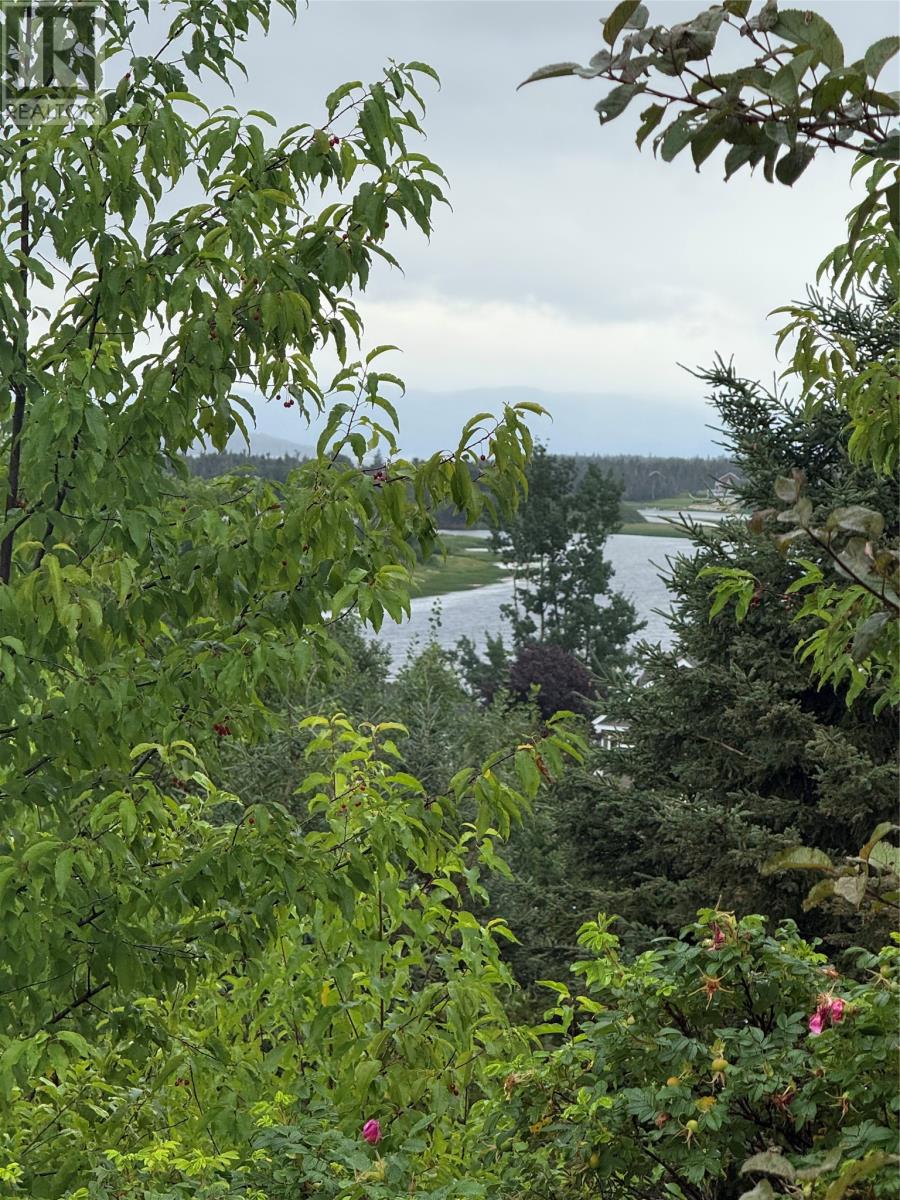 16 Mountain View Place, Deer Lake — photo 2