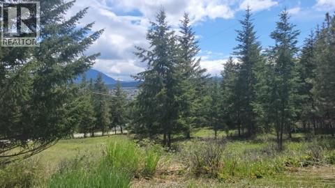 343 Cross Road S, Cranbrook, British Columbia
