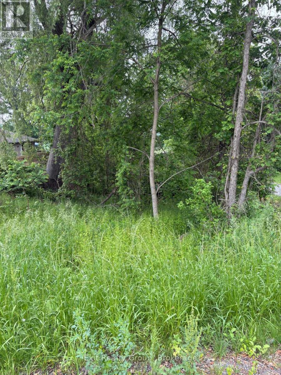 00 County Rd 5, Quinte West, Ontario K0K 3M0 - Photo 4 - X13690538