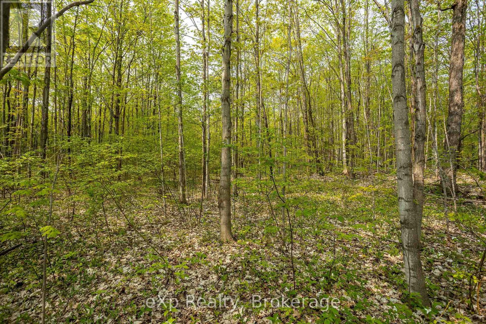 PT LOT 20 CON 5, Chatsworth, Ontario