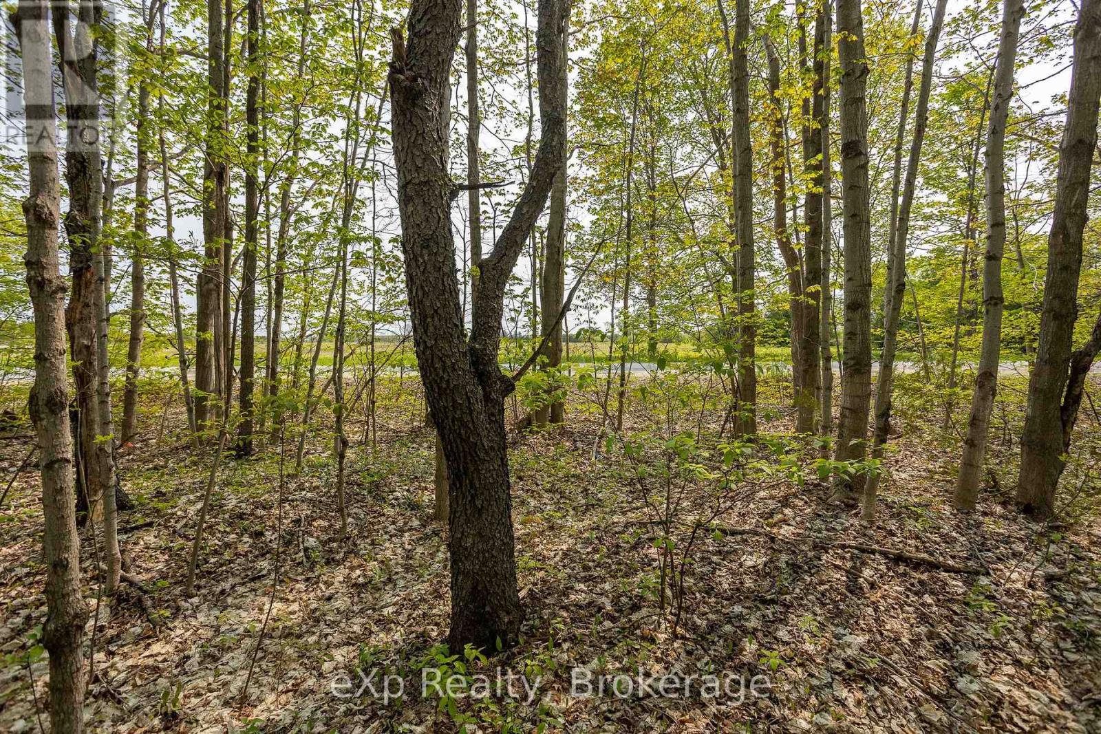 Pt Lot 20 Con 5, Chatsworth, Ontario  N0H 1G0 - Photo 2 - X13690818