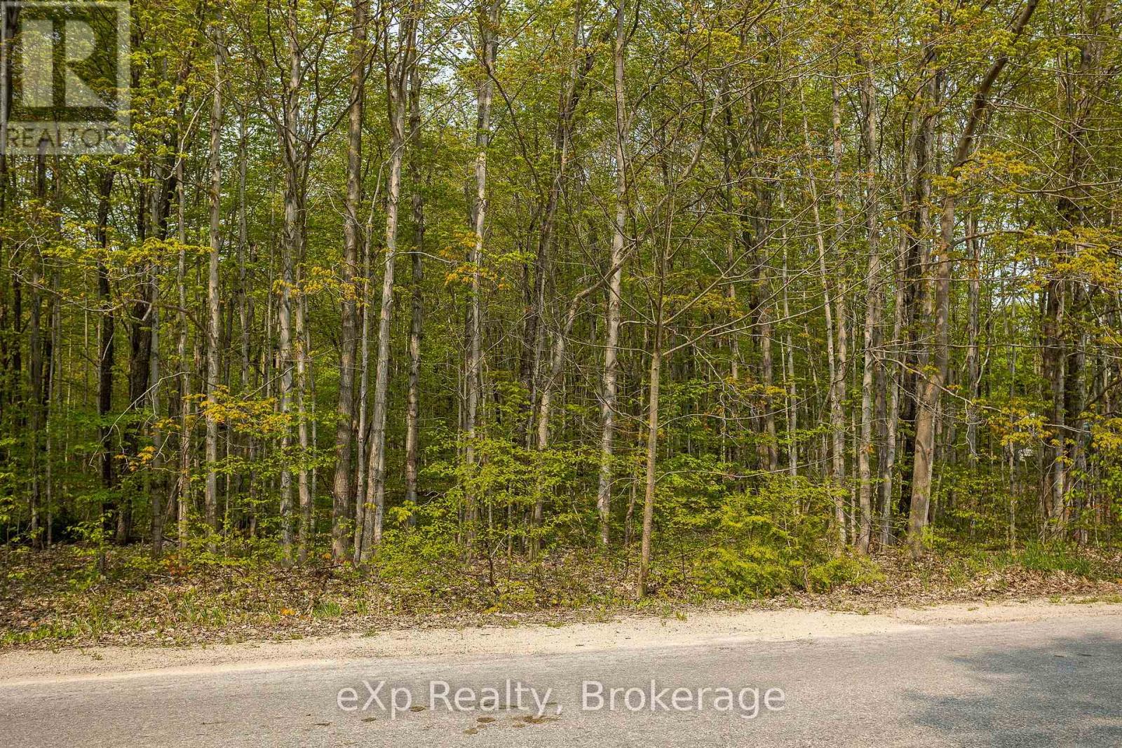 Pt Lot 20 Con 5, Chatsworth, Ontario  N0H 1G0 - Photo 25 - X13690818