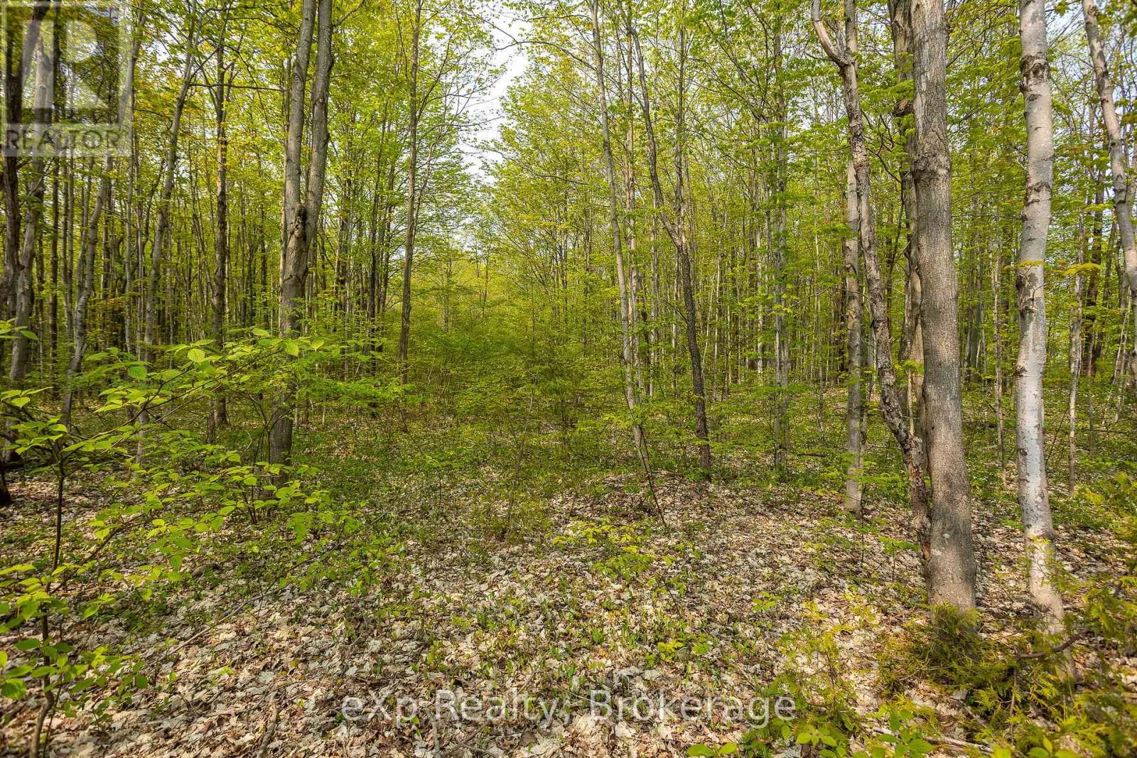 Pt Lot 20 Con 5, Chatsworth, Ontario  N0H 1G0 - Photo 26 - X13690818