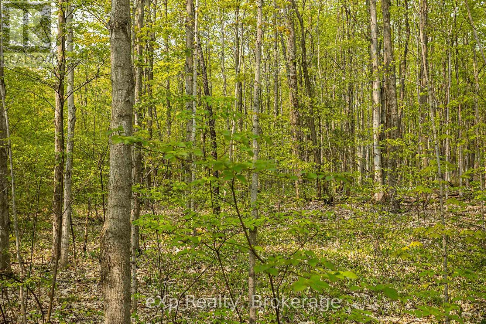 Pt Lot 20 Con 5, Chatsworth, Ontario  N0H 1G0 - Photo 3 - X13690818