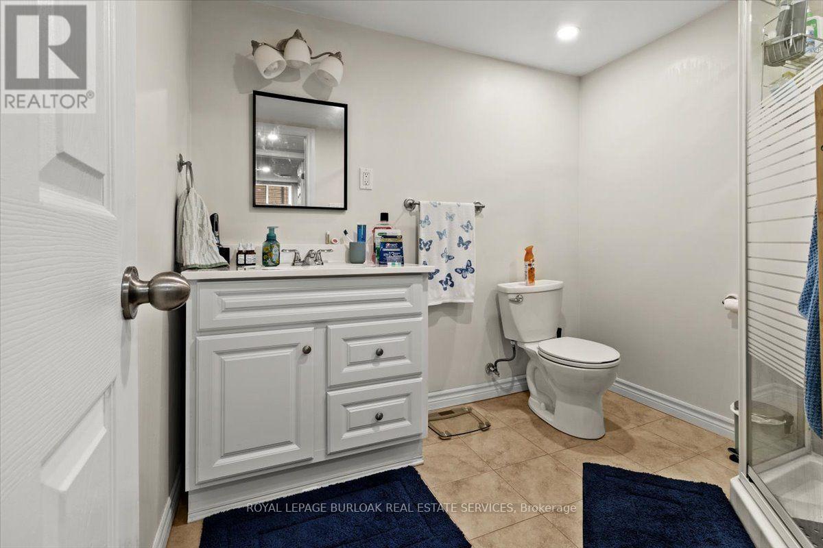 Lower - 161 Hoover Crescent, Hamilton, Ontario  L9A 3H2 - Photo 12 - X13690638