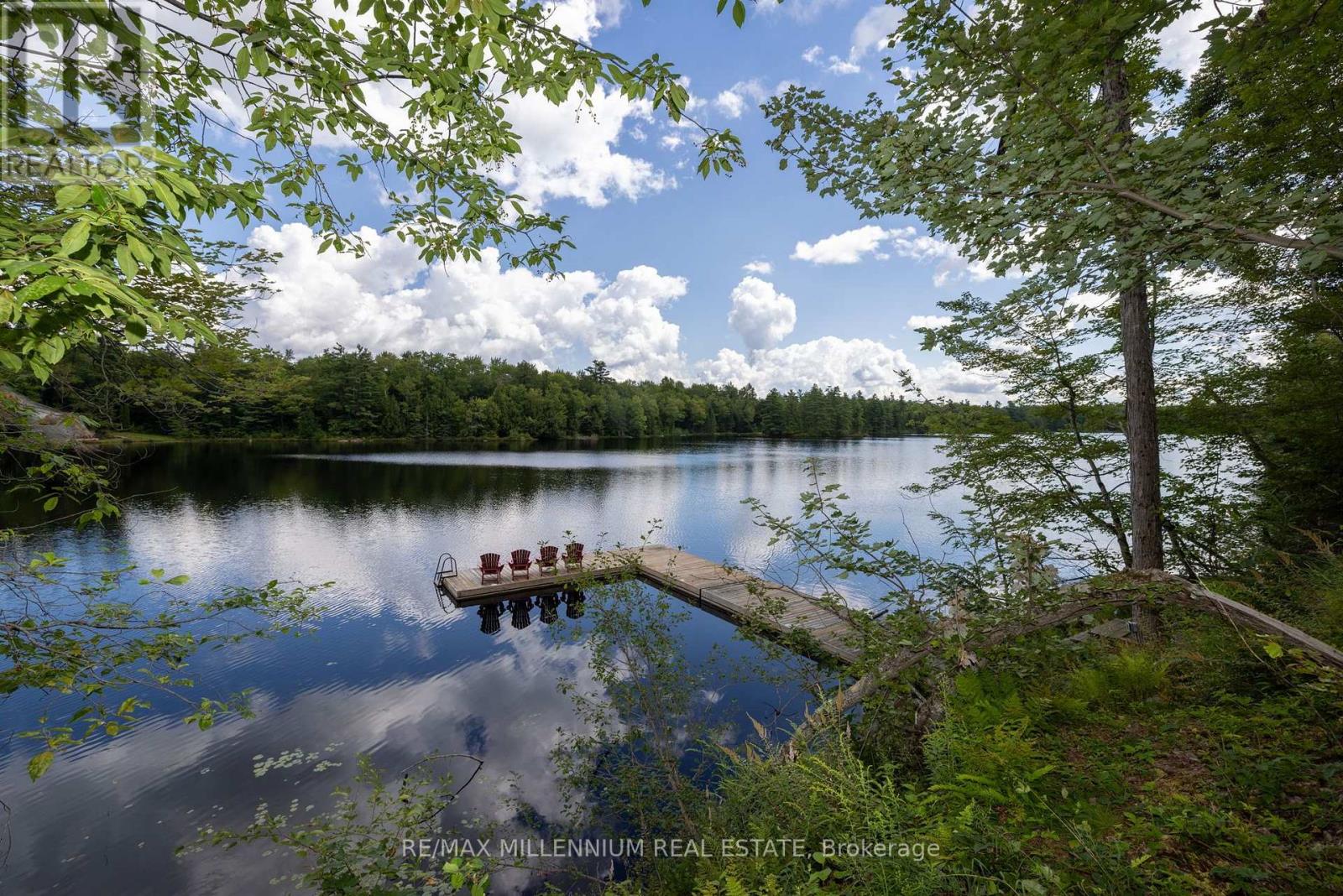 29 Yellow Birch Road, Georgian Bay, Ontario  P0H 1C0 - Photo 37 - X13690640