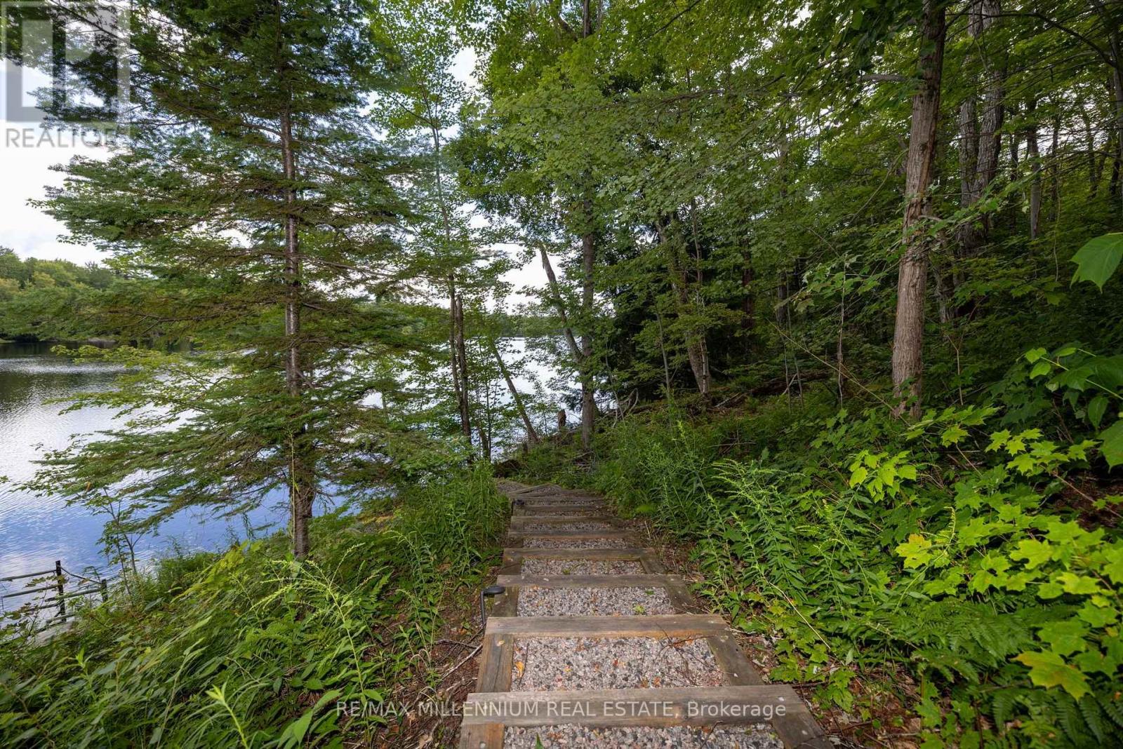 29 Yellow Birch Road, Georgian Bay, Ontario  P0H 1C0 - Photo 38 - X13690640