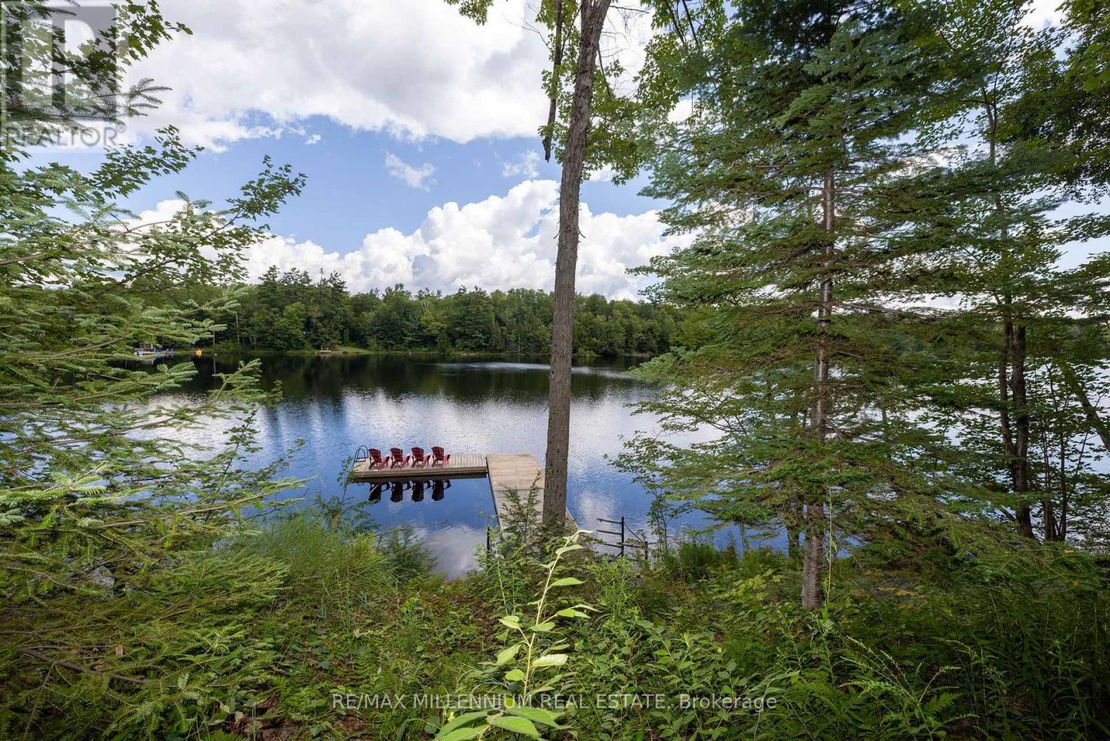29 Yellow Birch Road, Georgian Bay, Ontario  P0H 1C0 - Photo 39 - X13690640