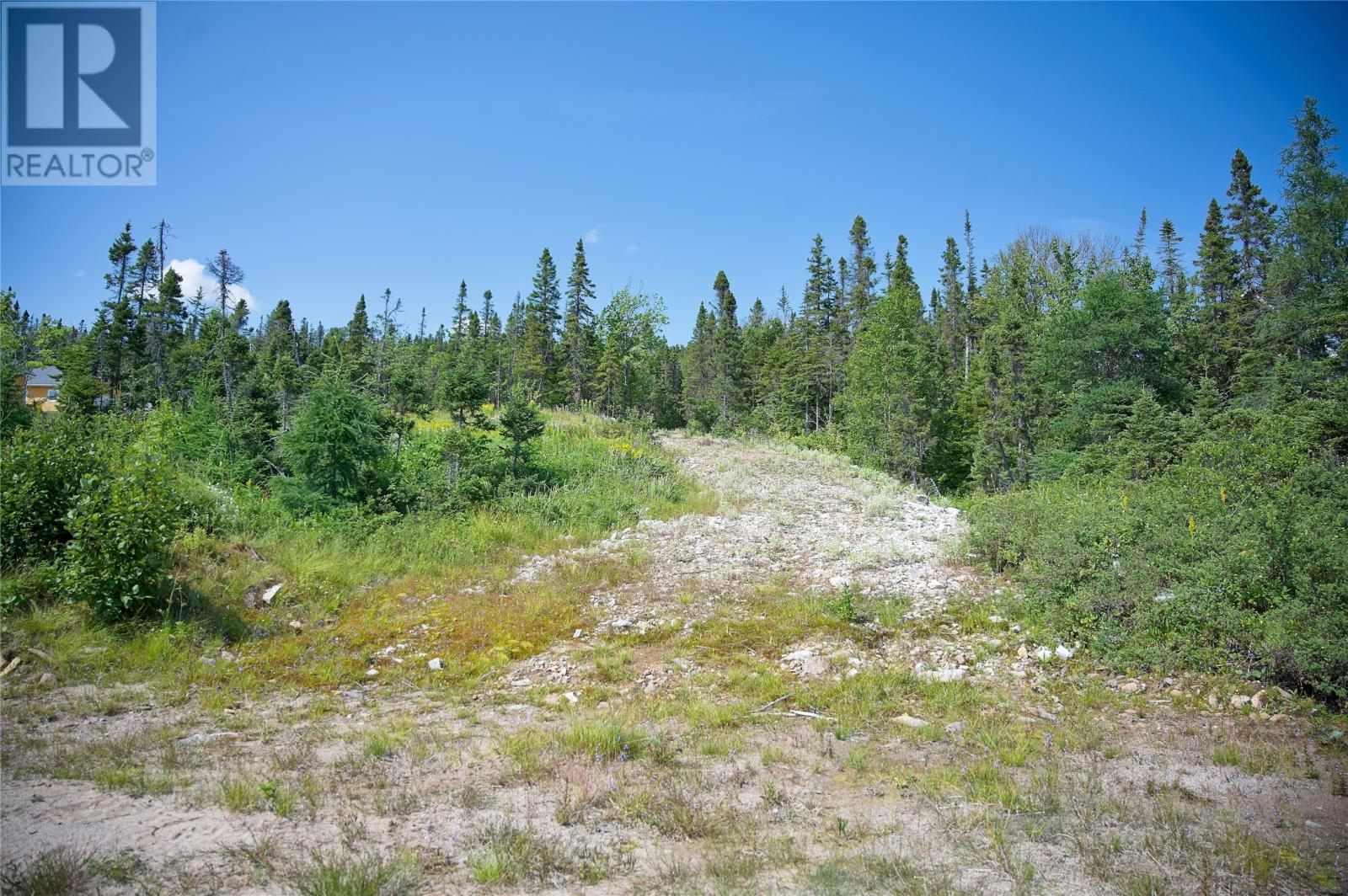 Lot 5 White Wash Cove, Bonne Bay Big Pond, Newfoundland & Labrador  A0K 1P0 - Photo 4 - 1301333