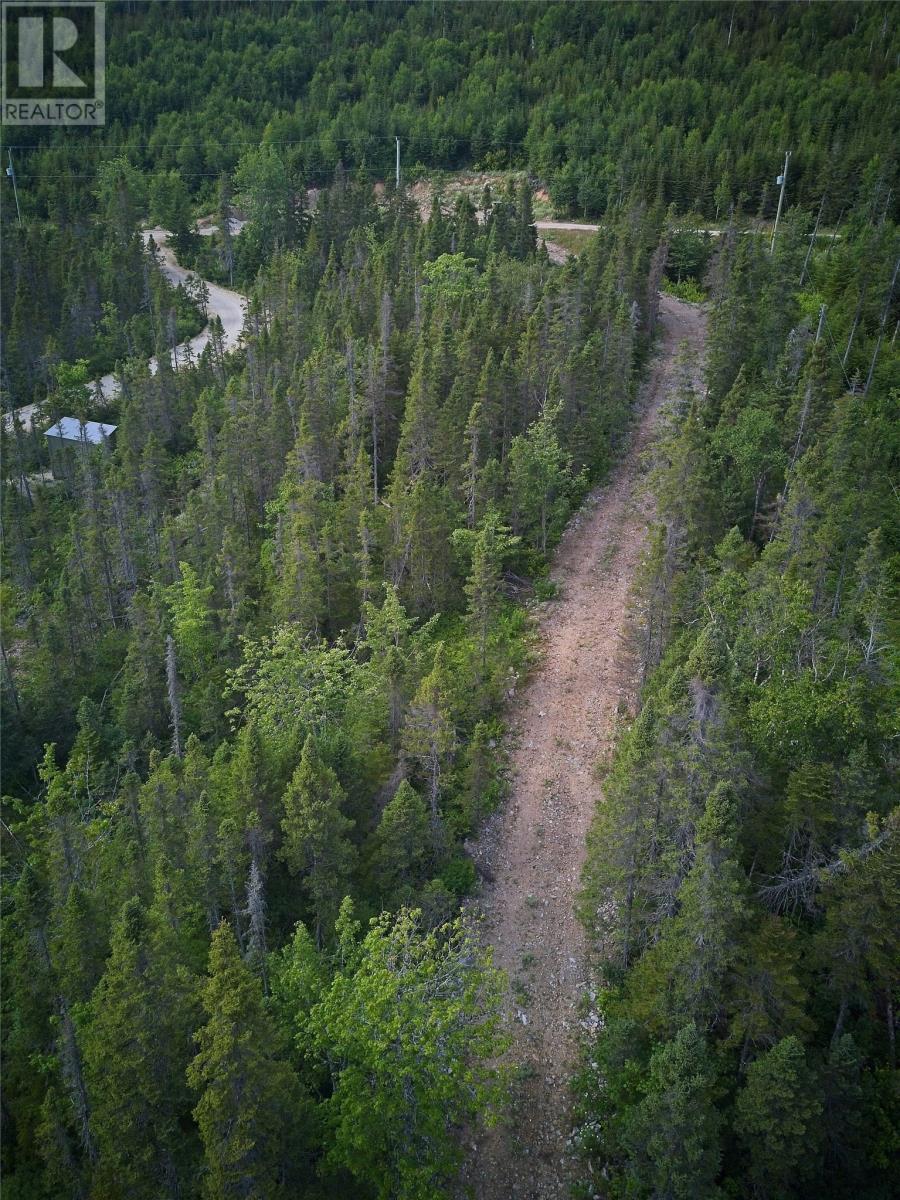 Lot 5 White Wash Cove, Bonne Bay Big Pond, Newfoundland & Labrador  A0K 1P0 - Photo 9 - 1301333
