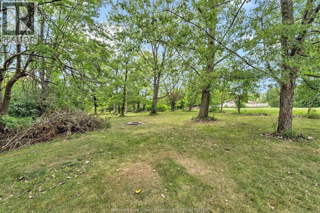 367 Elmstead, Lakeshore, Ontario  N8N 2L9 - Photo 12 - 26020254