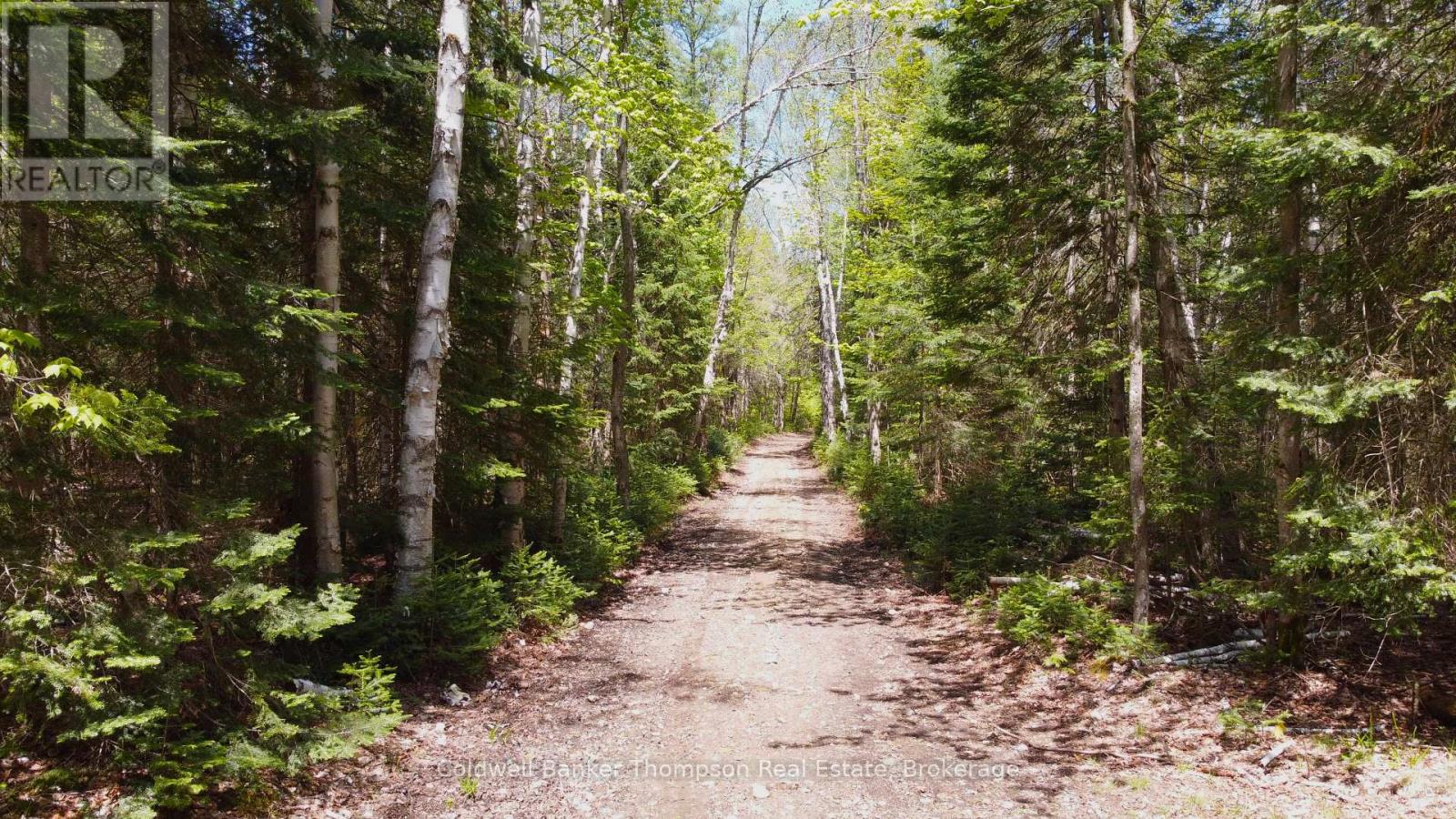 224 Madill Road, Armour, Ontario P0A 1C0 - Photo 12 - X13691114