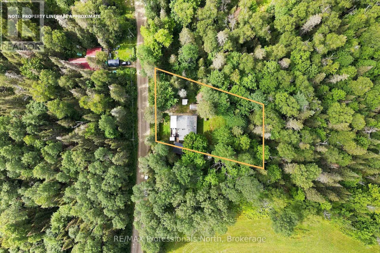 85 Buckley's Road, Kearney, Ontario  P0A 1M0 - Photo 5 - X13691362
