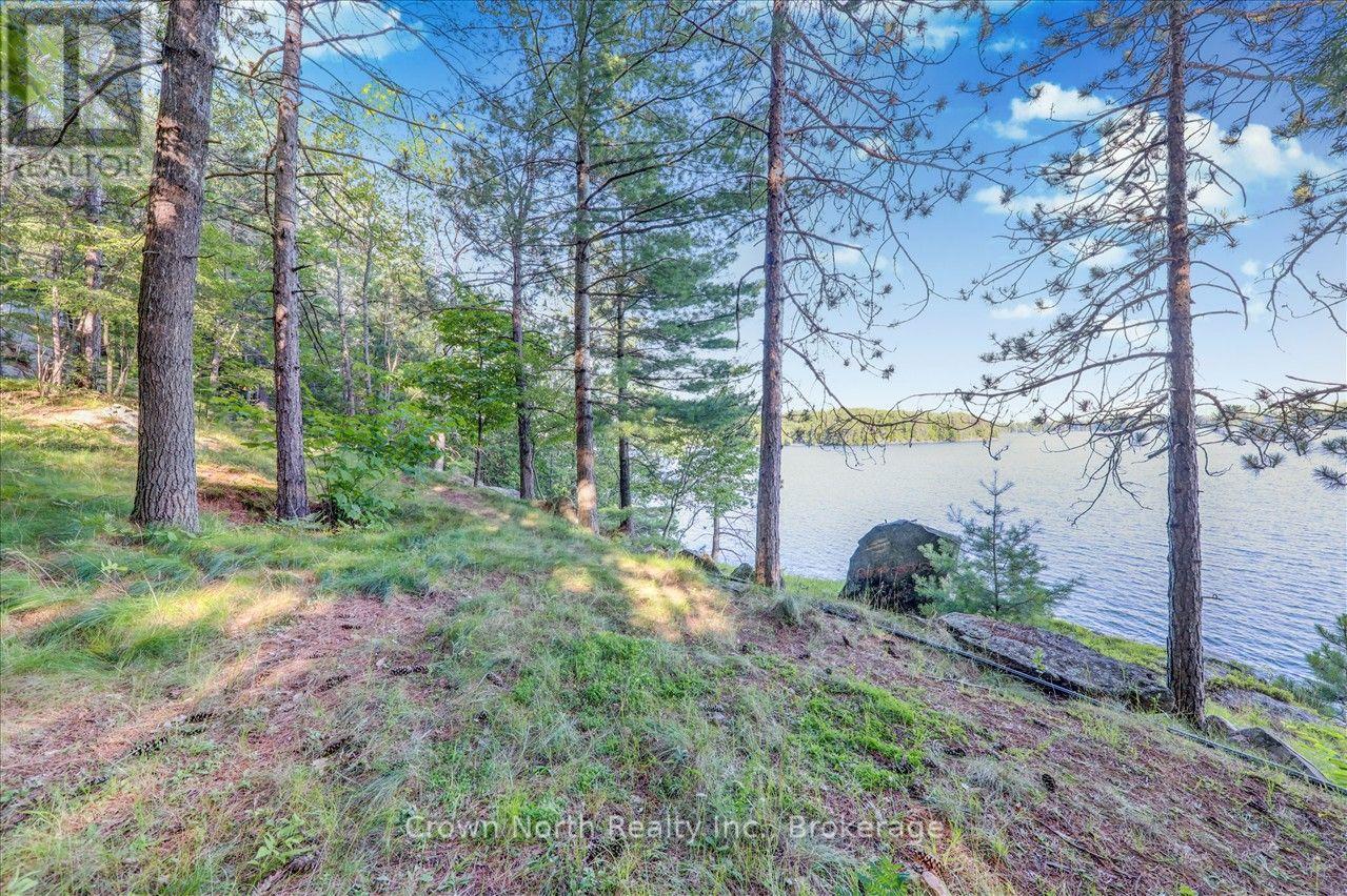 111 Gazelle Trail, North Kawartha, Ontario  K0L 1A0 - Photo 17 - X13691102