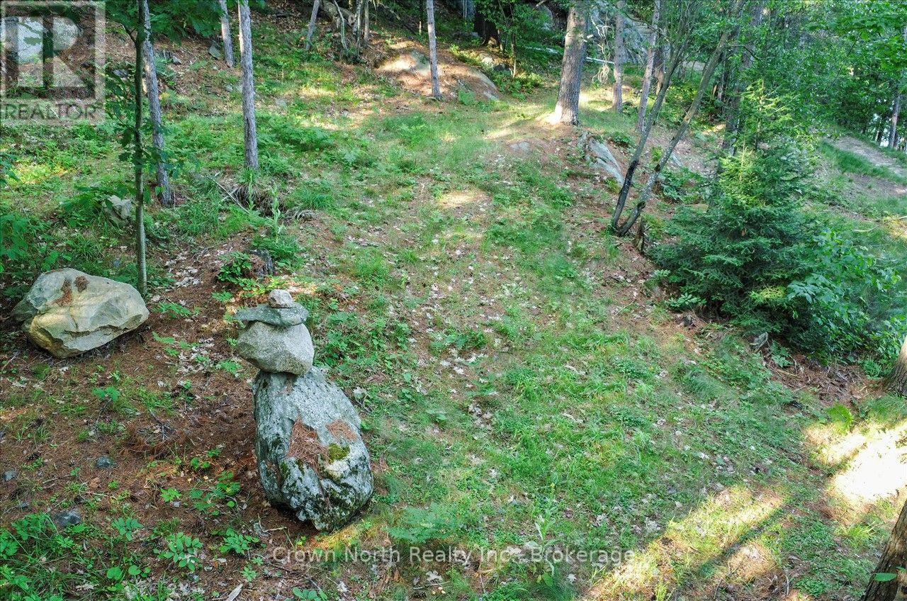 111 Gazelle Trail, North Kawartha, Ontario  K0L 1A0 - Photo 43 - X13691102