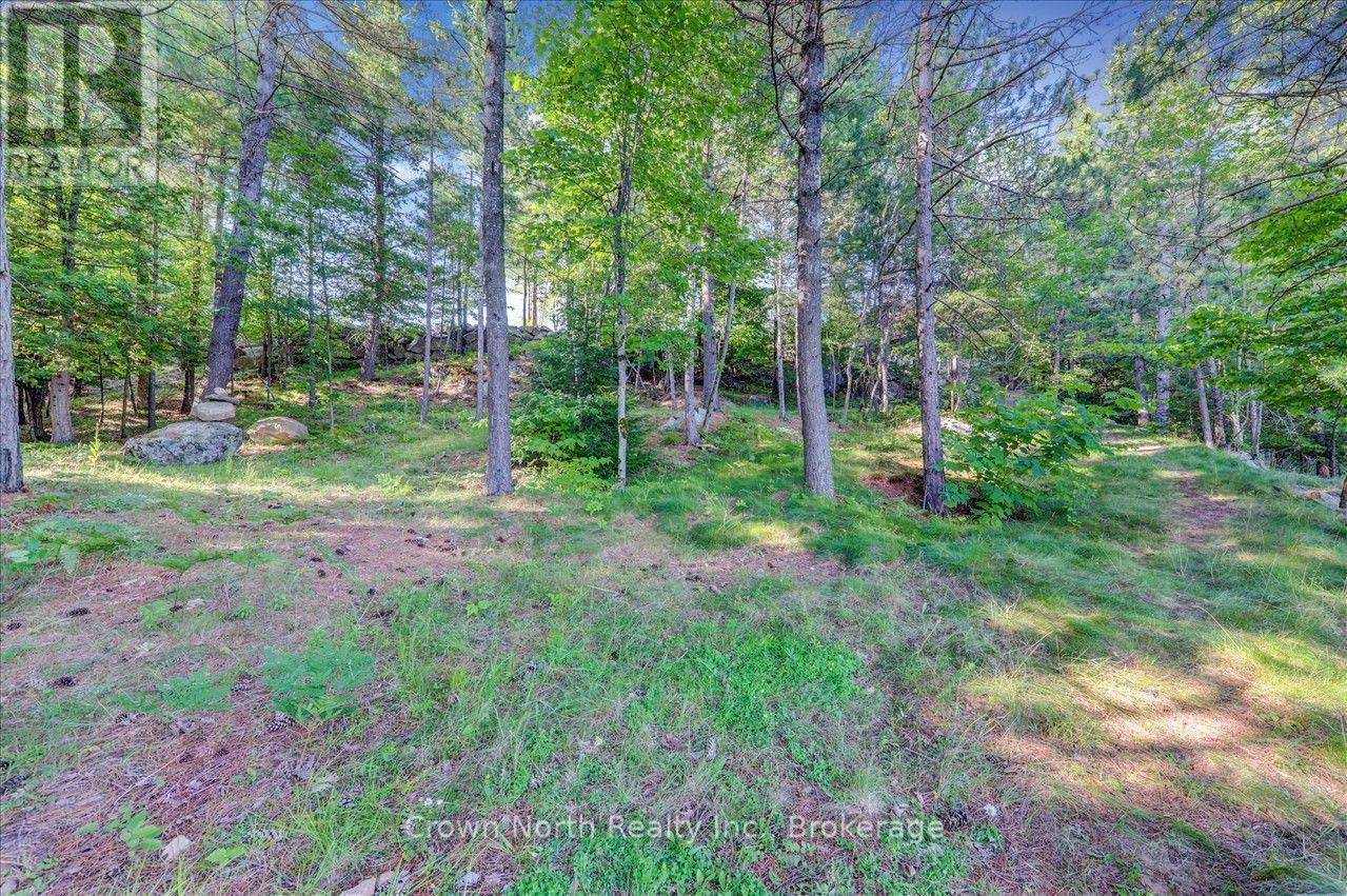 119 Gazelle Trail, North Kawartha, Ontario  K0L 1A0 - Photo 12 - X13691104