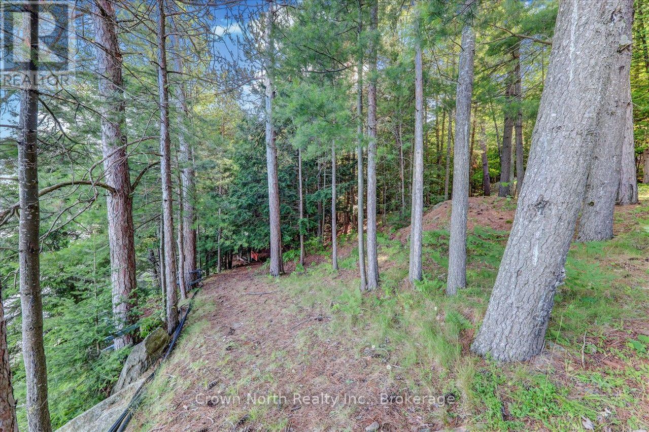 119 Gazelle Trail, North Kawartha, Ontario  K0L 1A0 - Photo 20 - X13691104