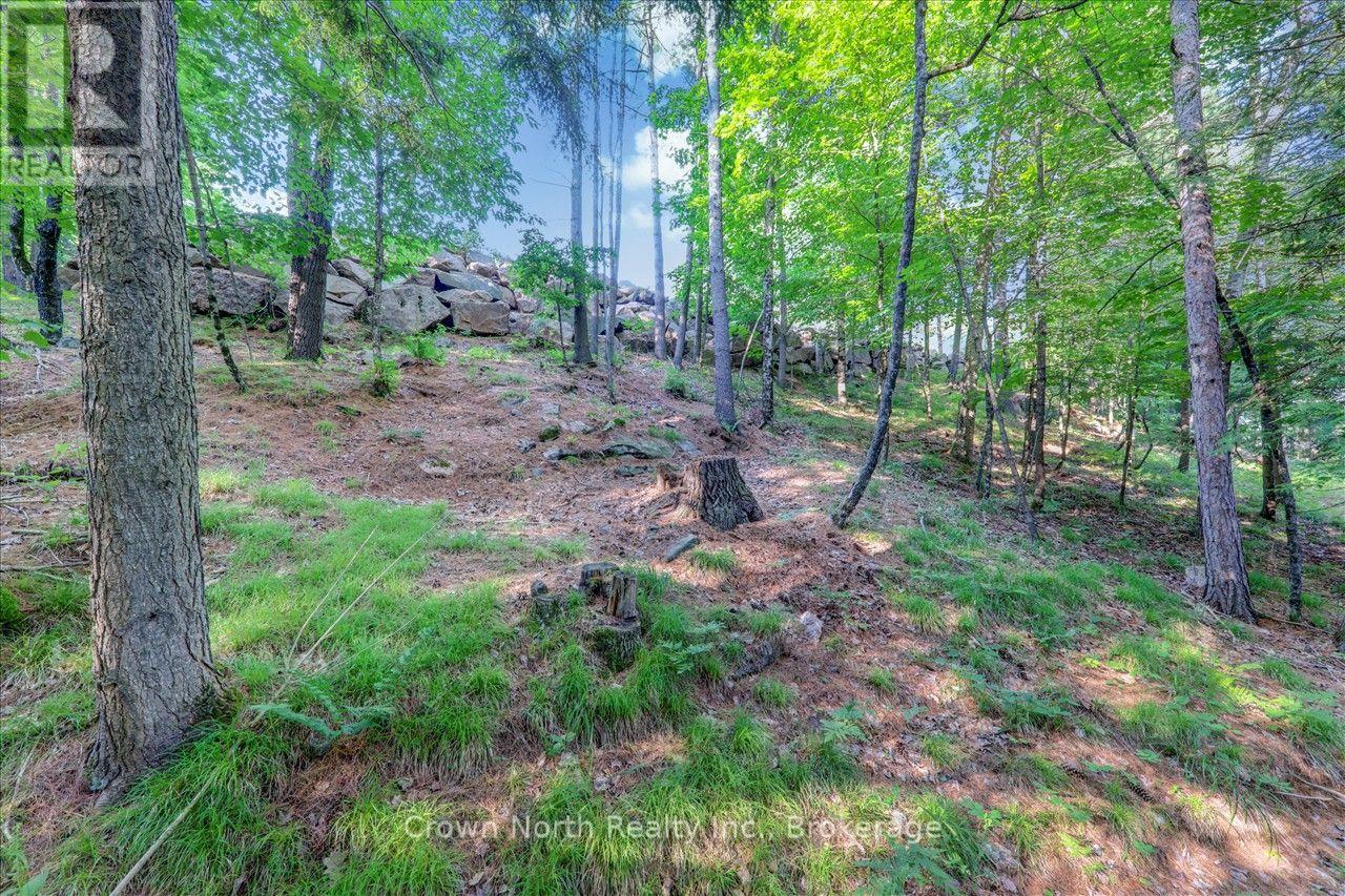 119 Gazelle Trail, North Kawartha, Ontario  K0L 1A0 - Photo 26 - X13691104
