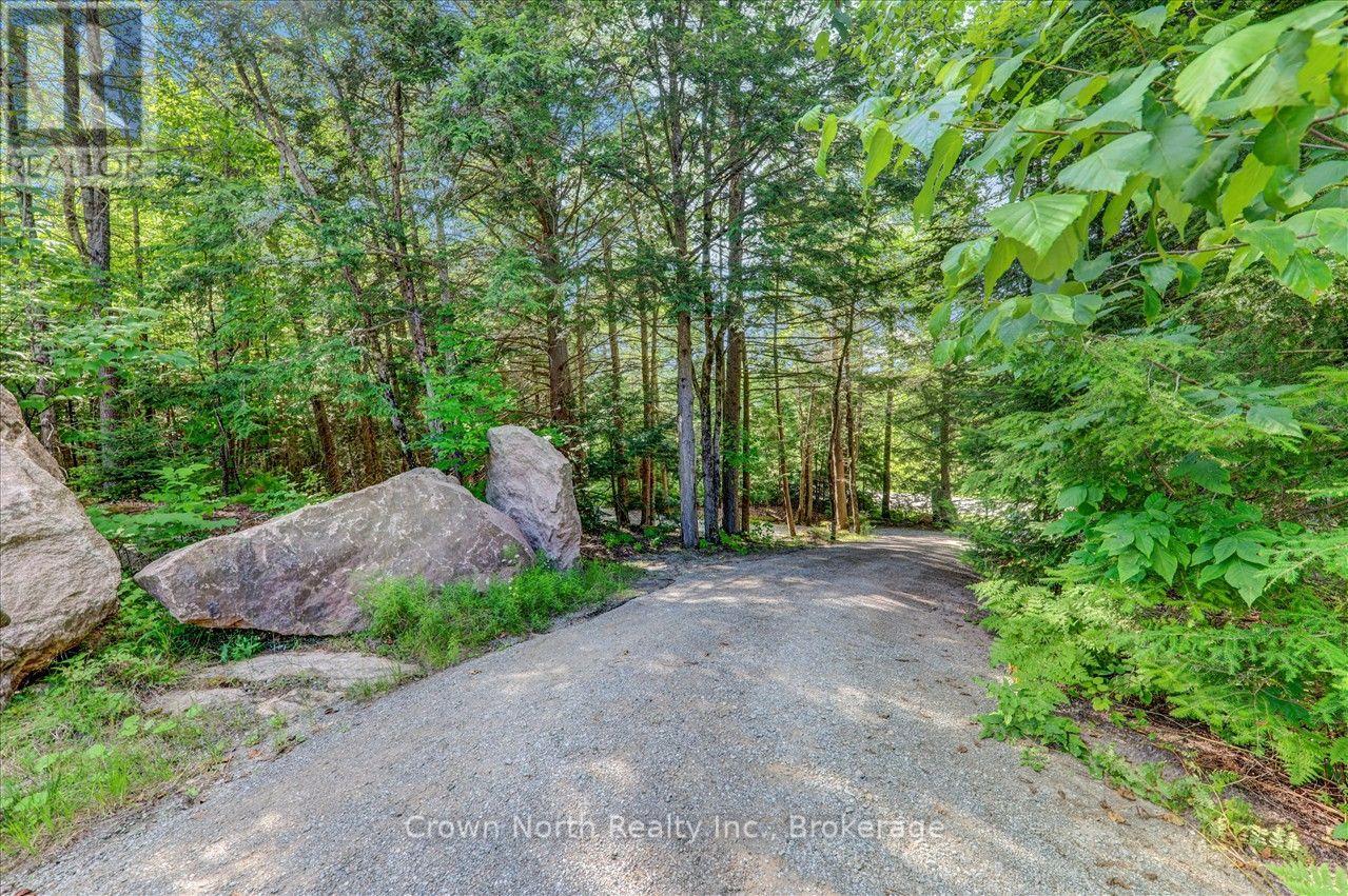 119 Gazelle Trail, North Kawartha, Ontario  K0L 1A0 - Photo 3 - X13691104