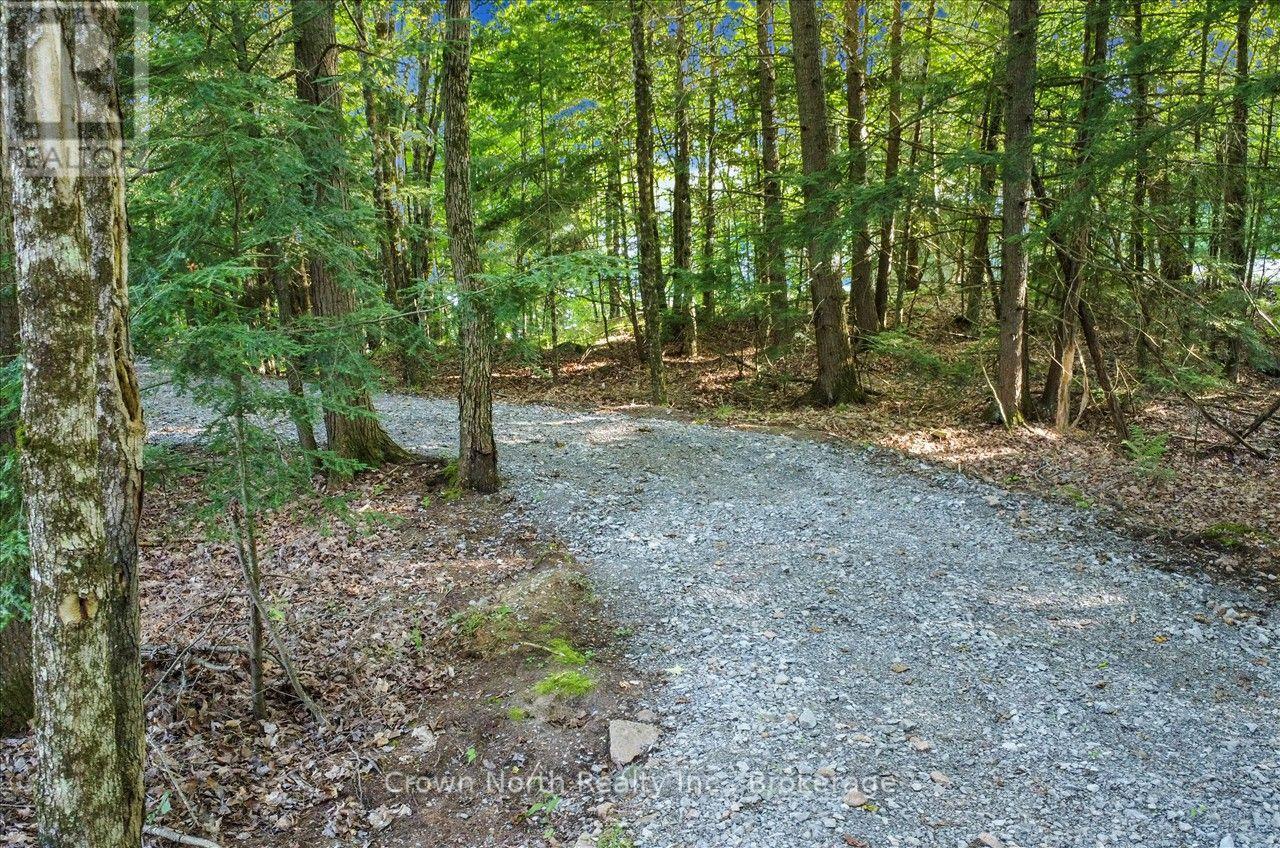 119 Gazelle Trail, North Kawartha, Ontario  K0L 1A0 - Photo 31 - X13691104