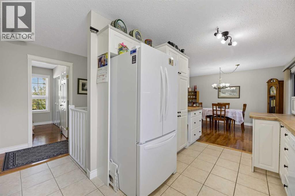 223 10 Avenue NE, Sundre, Alberta  T0M 1X0 - Photo 11 - A2334969