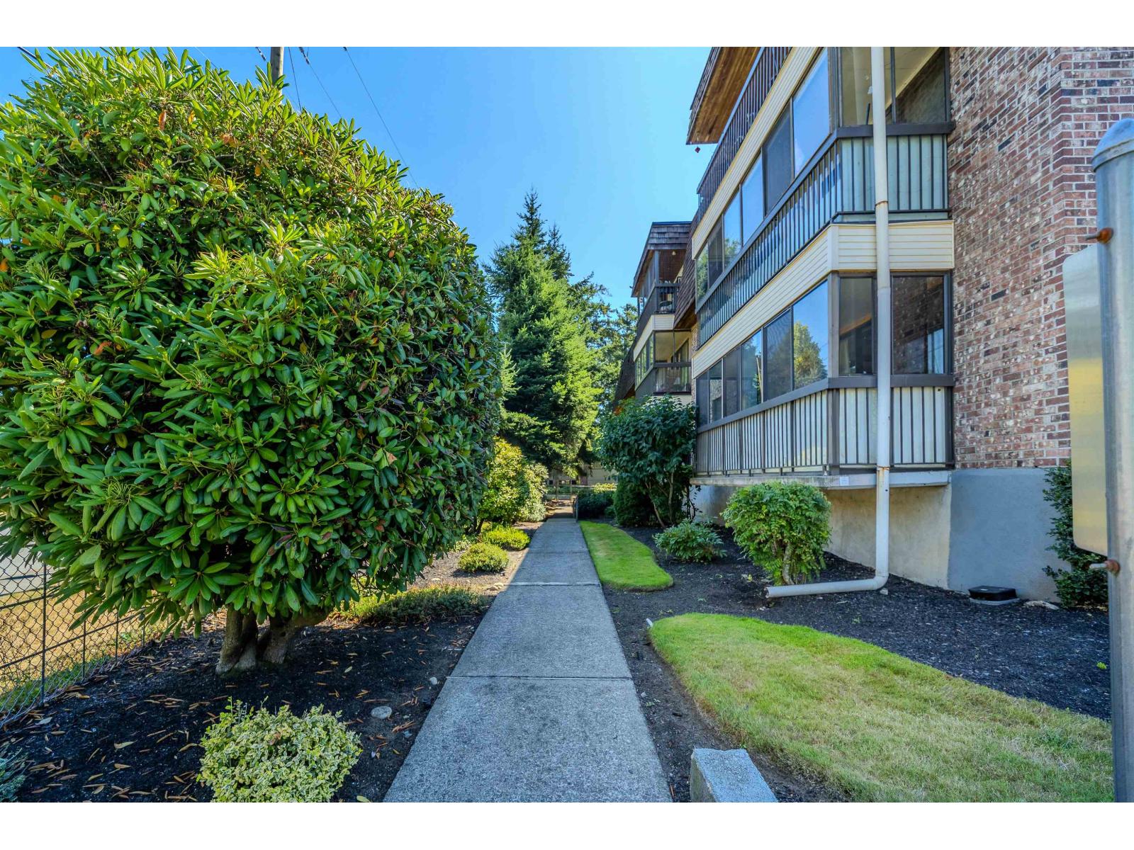 317 32175 Old Yale Road, Abbotsford, British Columbia  V2T 2C8 - Photo 6 - R3156776