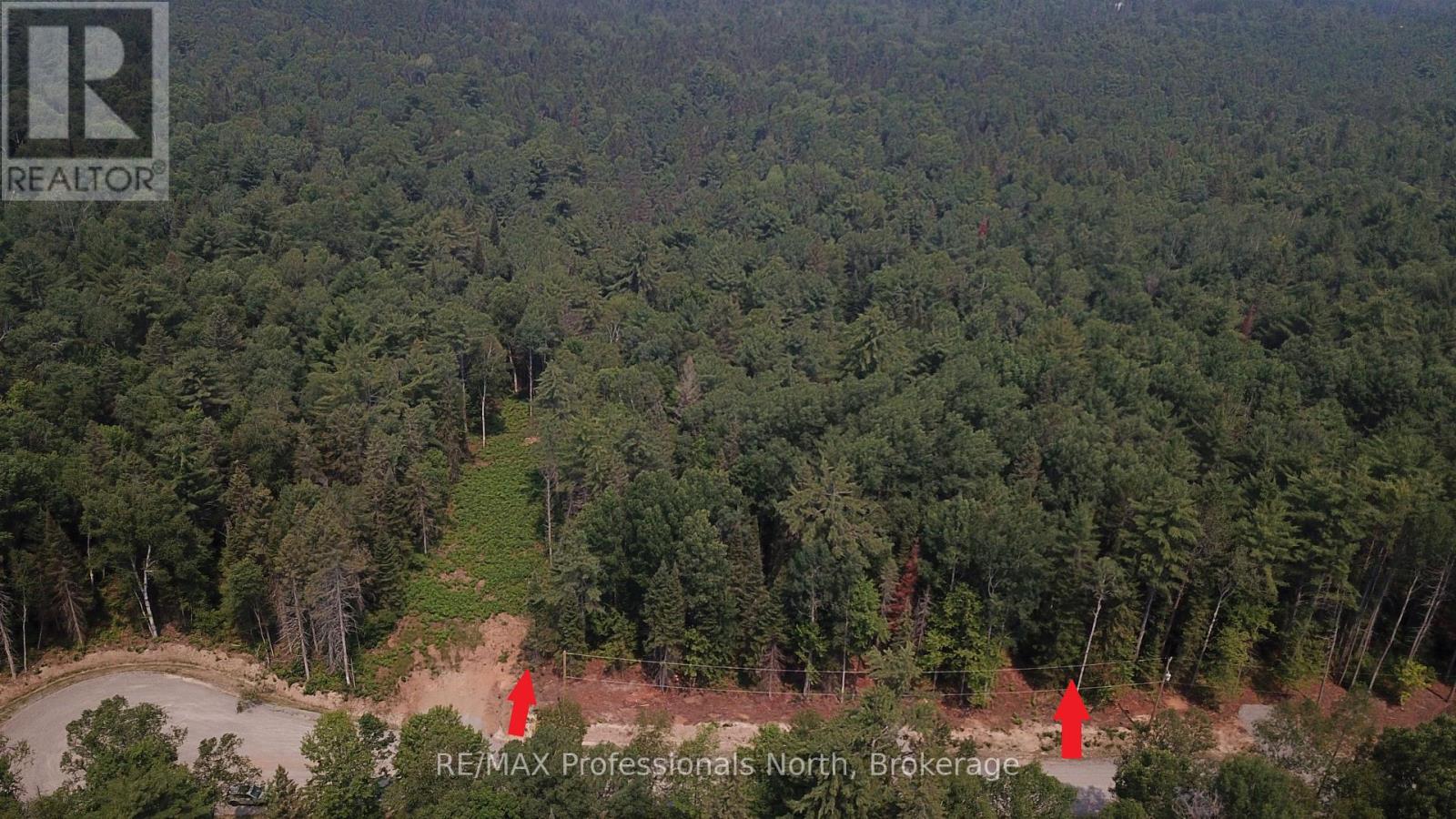 01 Sale Road, Lake Of Bays, Ontario  P0A 1H0 - Photo 3 - X13576540