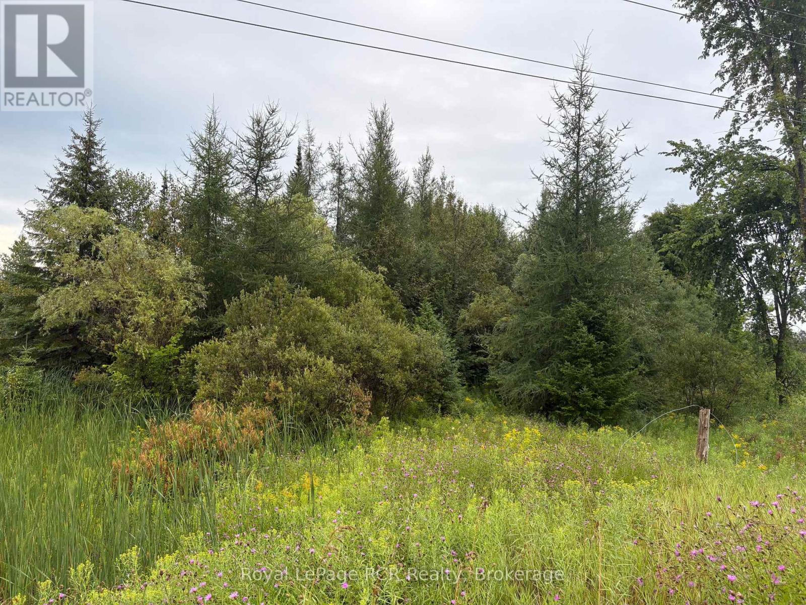 Pt Lt 13 Grey Road 4, Grey Highlands, Ontario N0C 1K0 - Photo 2 - X13691584