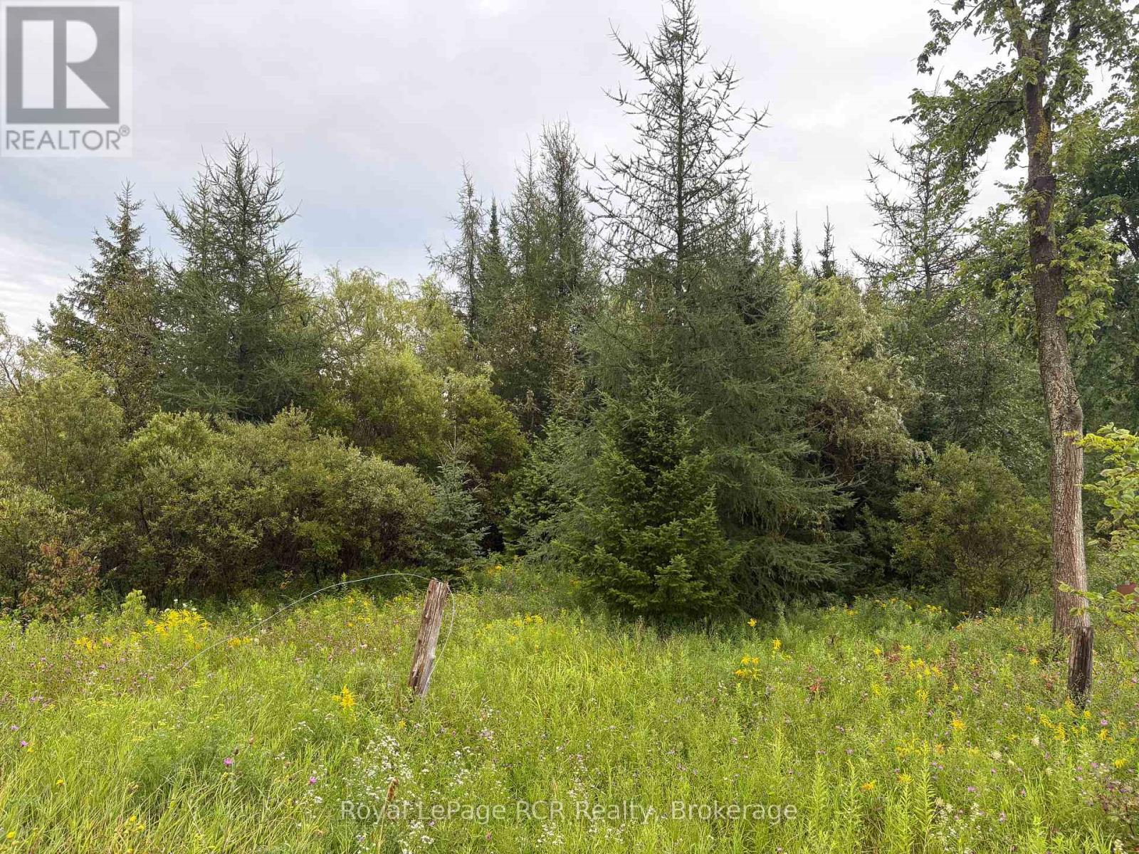 Pt Lt 13 Grey Road 4, Grey Highlands, Ontario N0C 1K0 - Photo 3 - X13691584