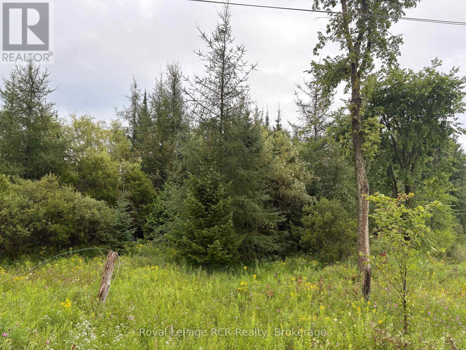 Pt Lt 13 Grey Road 4, Grey Highlands, Ontario N0C 1K0 - Photo 4 - X13691584