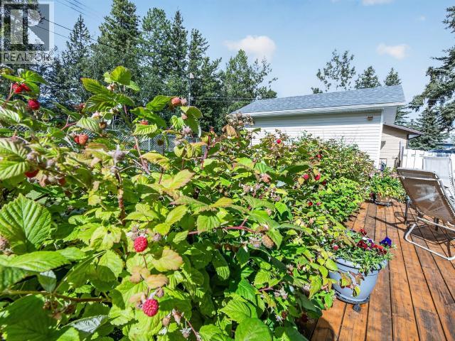 138 Rainbow Road, Whitehorse, Yukon  Y1A 5K1 - Photo 44 - 17622