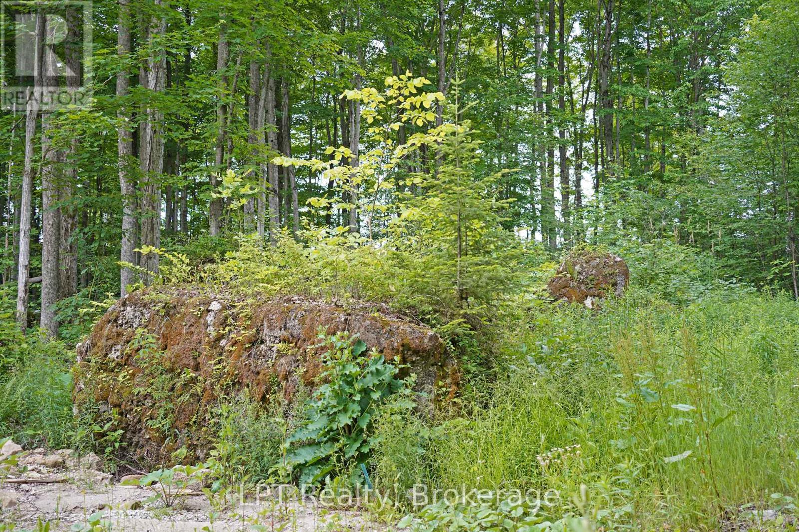 382488 Concession 17 Road, Georgian Bluffs, Ontario  N0H 2T0 - Photo 45 - X13502538