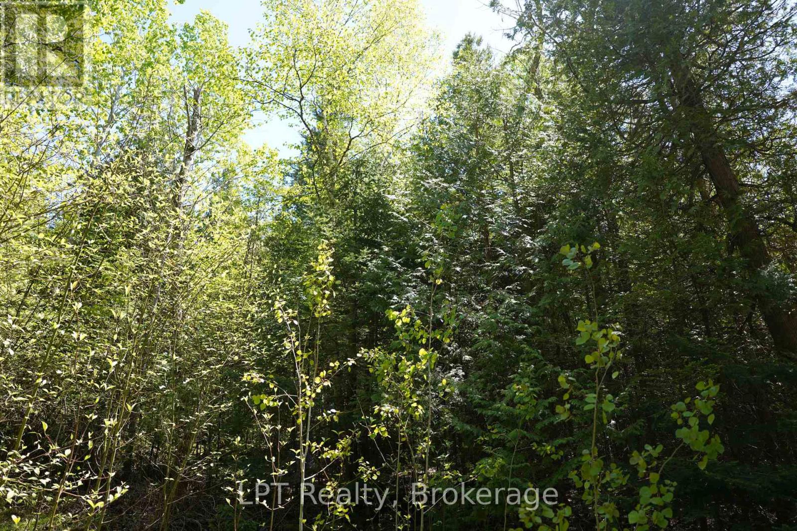 74 Lonely Island Drive, South Bruce Peninsula, Ontario  N0H 2T0 - Photo 12 - X13598184