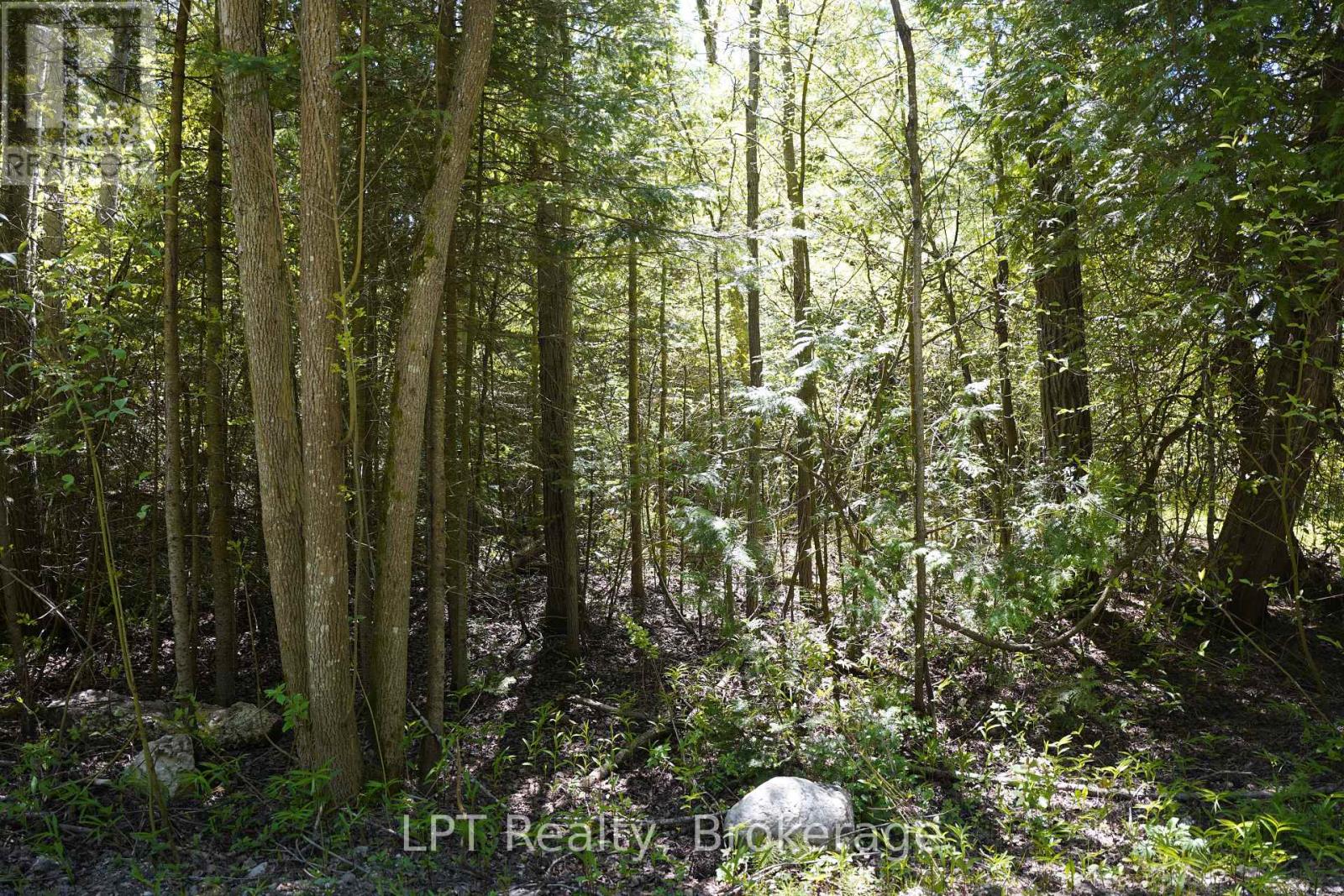 74 Lonely Island Drive, South Bruce Peninsula, Ontario  N0H 2T0 - Photo 21 - X13598184