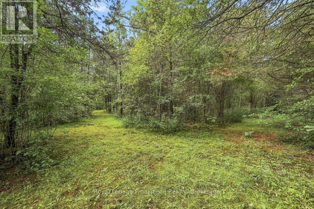 2631 62 Highway, Prince Edward County, Ontario  K0K 1G0 - Photo 47 - X13687416