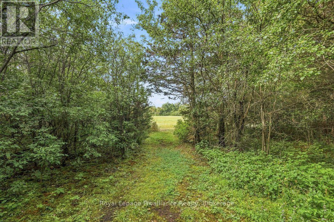 2631 62 Highway, Prince Edward County, Ontario  K0K 1G0 - Photo 45 - X13687416