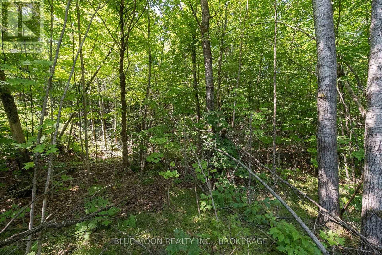 1531 Myers Cave Road, Frontenac, Ontario  K0H 1B0 - Photo 2 - X13690346