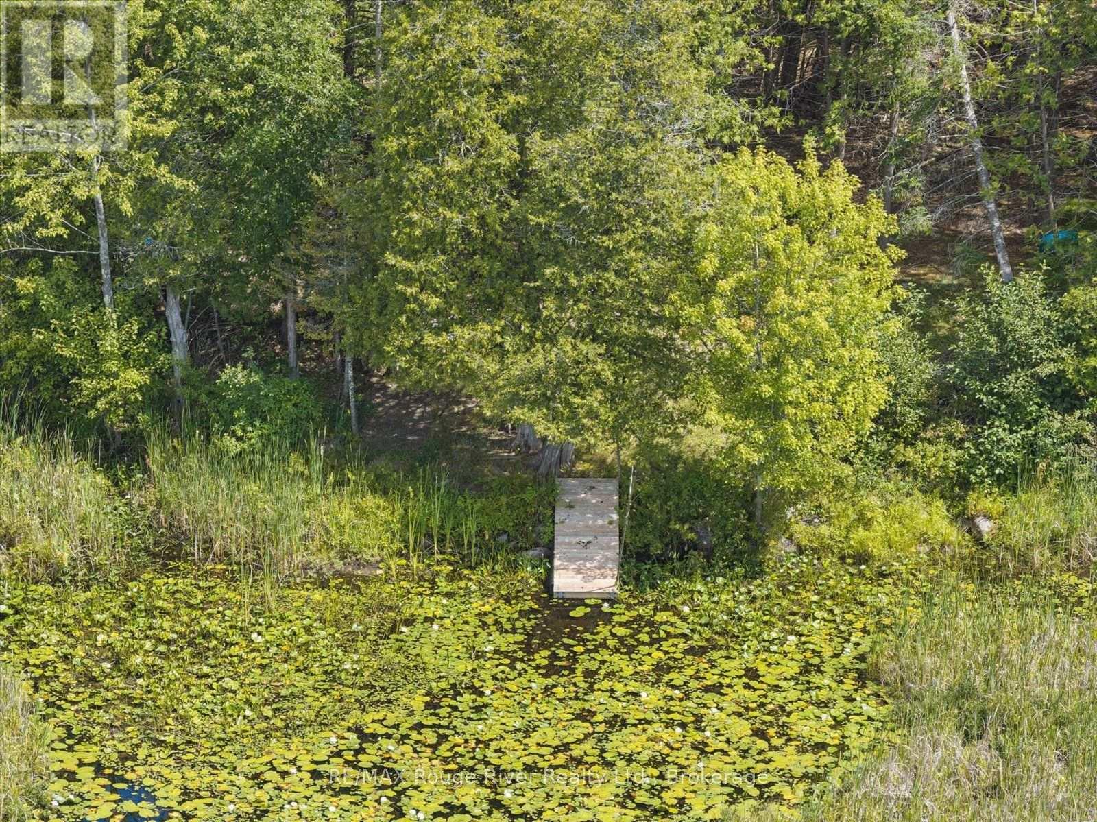 178 Roma Lane, Stirling-Rawdon, Ontario  K0K 2M0 - Photo 35 - X13691698