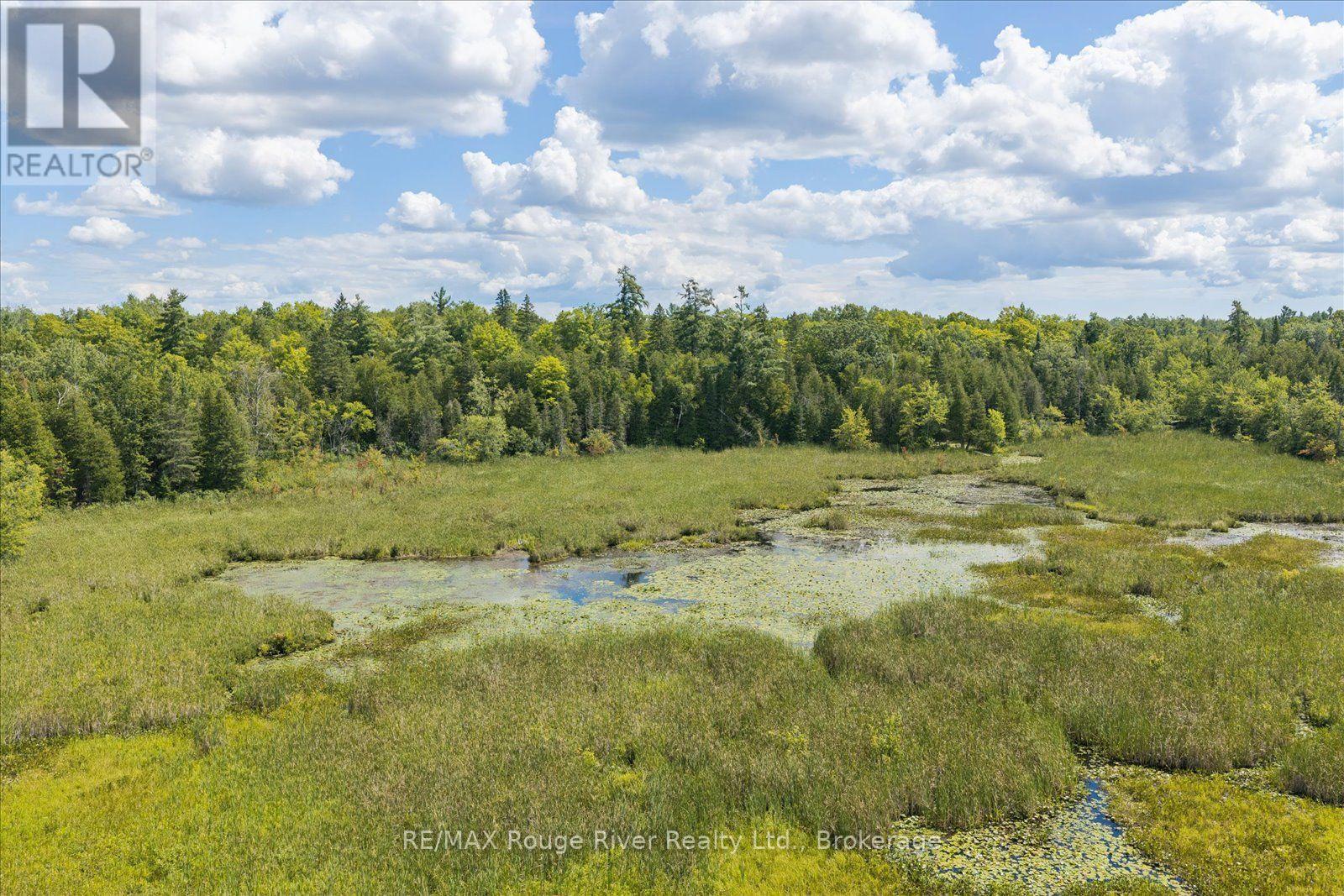 178 Roma Lane, Stirling-Rawdon, Ontario  K0K 2M0 - Photo 38 - X13691698