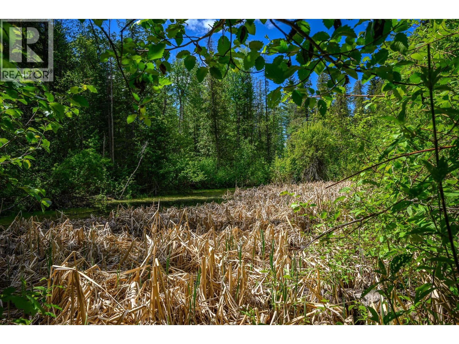 8276 Lincoln Road, Vernon, British Columbia  V1B 3M8 - Photo 4 - 10375830